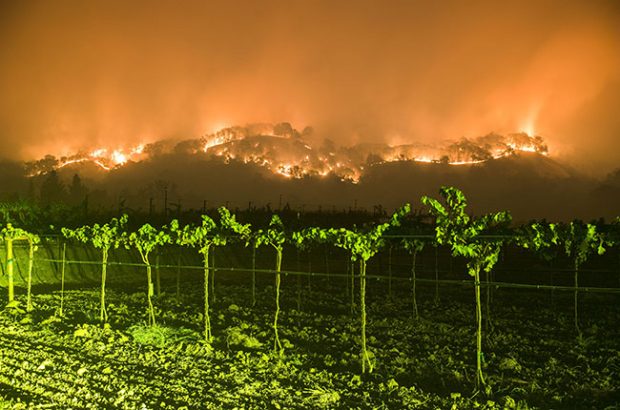 california fire in vineyards