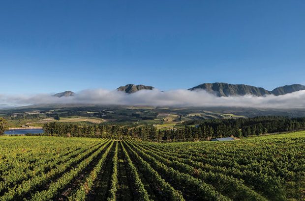 hemel-en-aarde wineries