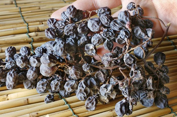 ripasso and appassimento