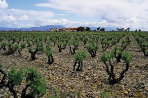 Finca La Emperatriz, Rioja Viñedos Singulares