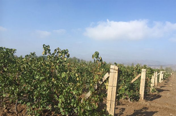 ningxia 2017, helan mountain