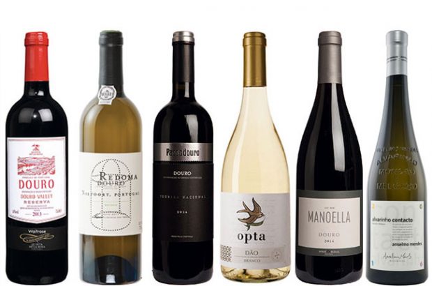 wines under 20