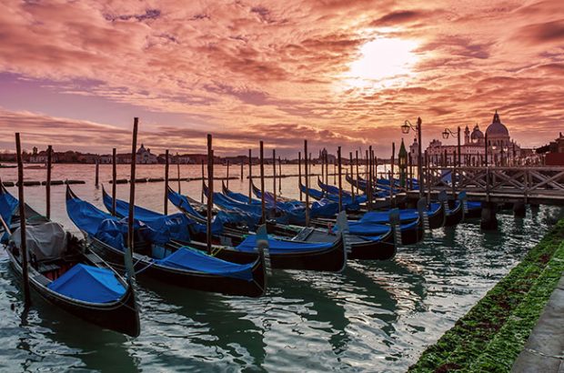 restaurants in venice