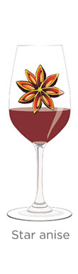 tasting notes decoded