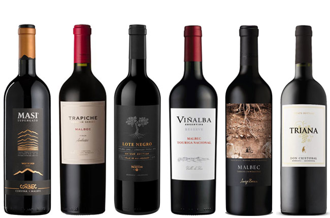 Argentinian wines under £25