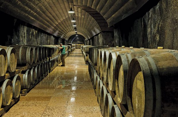 Cantina di Soave barrel room