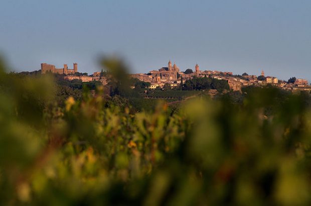 Manachiara vineyards, Montalcino wines