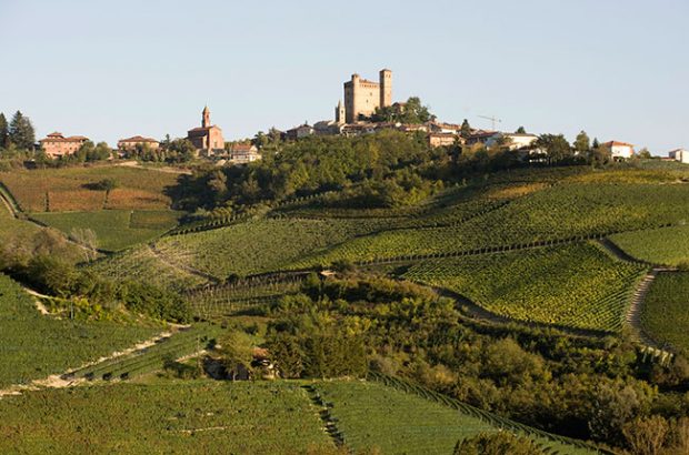 Vietti vineyards