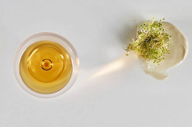 Pairing Spanish wine and food.