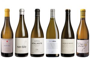 Galicia Panel Tasting northern Spanish white wines