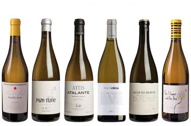 Galicia Panel Tasting northern Spanish white wines
