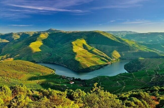 Symington douro winery, douro valley