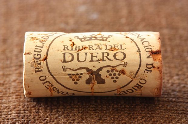 ribera del duero