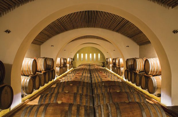 Barrel room at Serracavallo