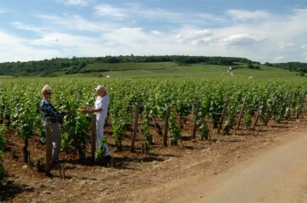 Domaine Leroy
