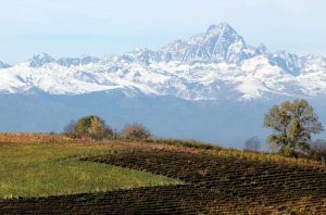 GD Vajra Bricco delle Viole