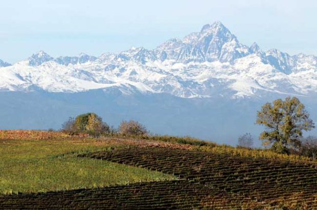 GD Vajra Bricco delle Viole