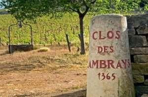 billionaire wine, clos des lambrays