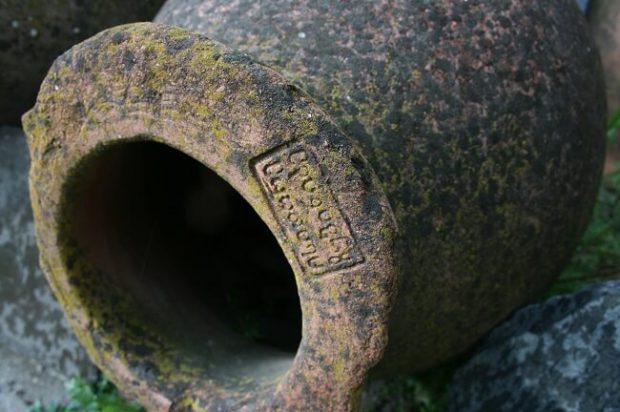 Tasting georgian wine