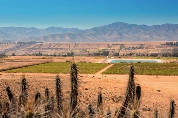 Viña Ventisquero Tara wines