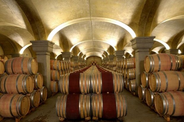 tignanello wines, cellars