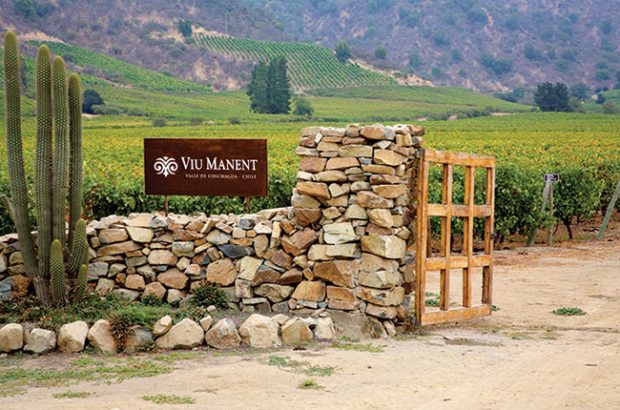 Viu Manent vineyard, Colchagua producers