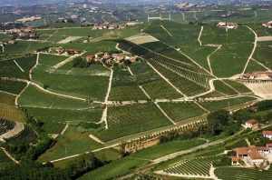 Barbaresco 2015 latest release