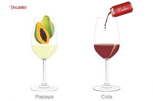 tasting notes decoded