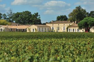 Domaine de Chevalier, future Bordeaux