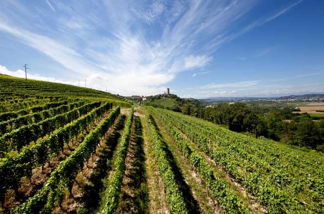 albinorocca.com Barbaresco Vigna Loreto