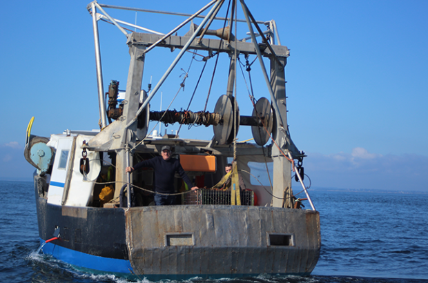 Château Tour Castillon Channel