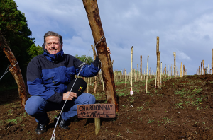 Montes Chiloé vineyard