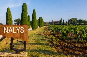 Chateau de Nalys