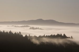 outpost wines, howell mountain