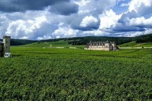 Burgundy climats