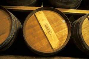gaja barbaresco