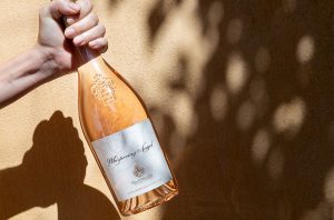 Whispering Angel rose