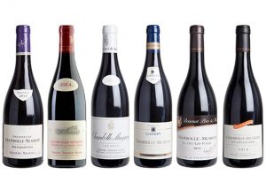 Chambolle-Musigny 2014 panel tasting