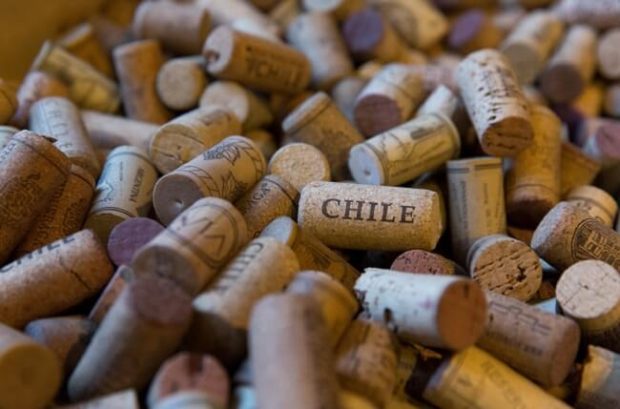 jefford chile wine