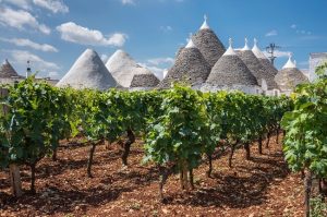 southern italy wines, puglia