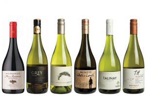 Chilean Sauvignon Blanc Panel Tasting