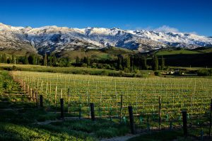 Lowburn Ferry, central otago