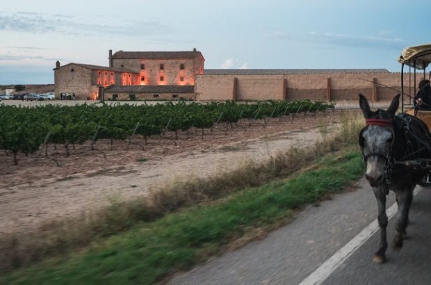 Torres Purgatori winery