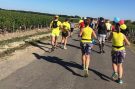 Médoc Marathon