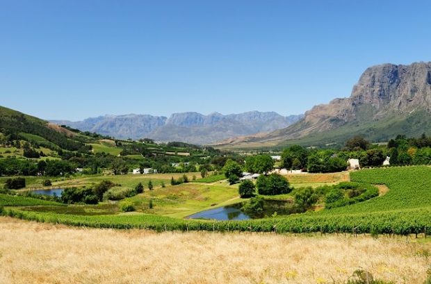 stellenbosch