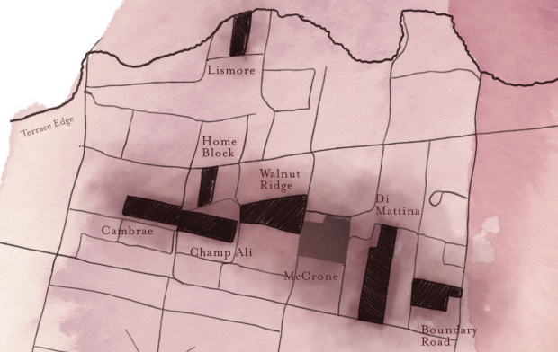 Ata Rangi McCrone Vineyard map