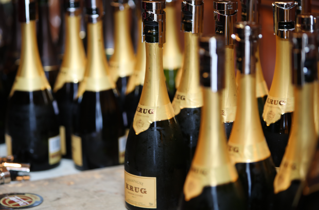 Krug new releases