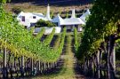 rioja single vineyard designation announced decanter vineyard designation crossword