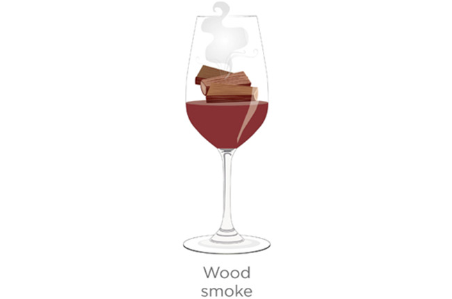 tasting notes decoded