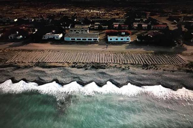 Bahía Bustamante vineyard